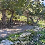 Aphrodite Family Eco