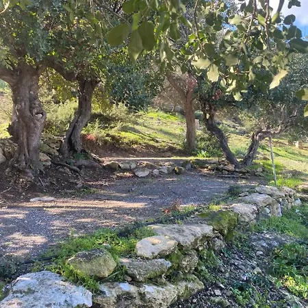 Aphrodite Family Eco