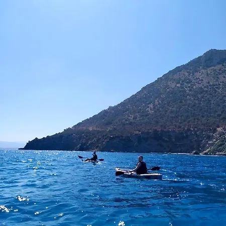 Aphrodite Family Eco