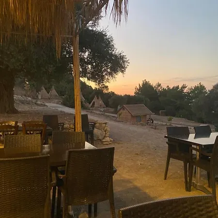 Aphrodite Family Eco