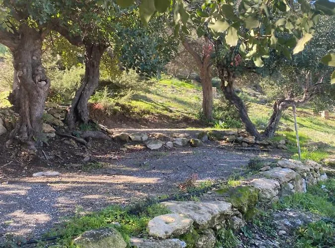 Aphrodite Family Eco