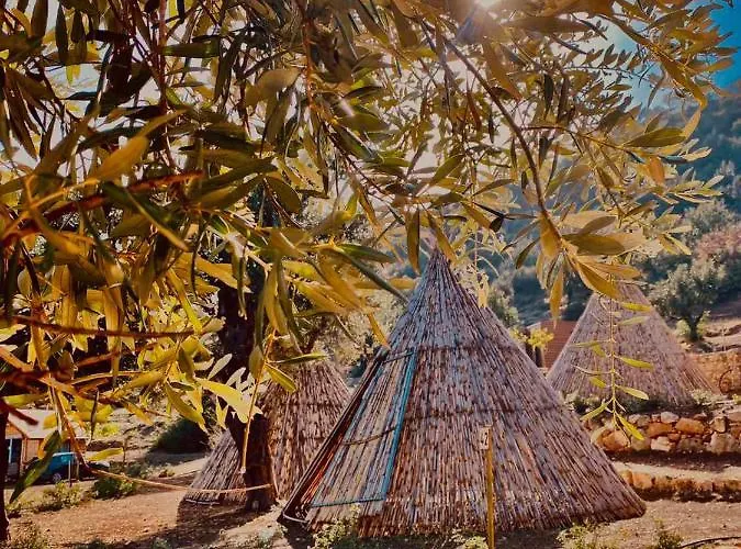 Aphrodite Family Eco Campsite