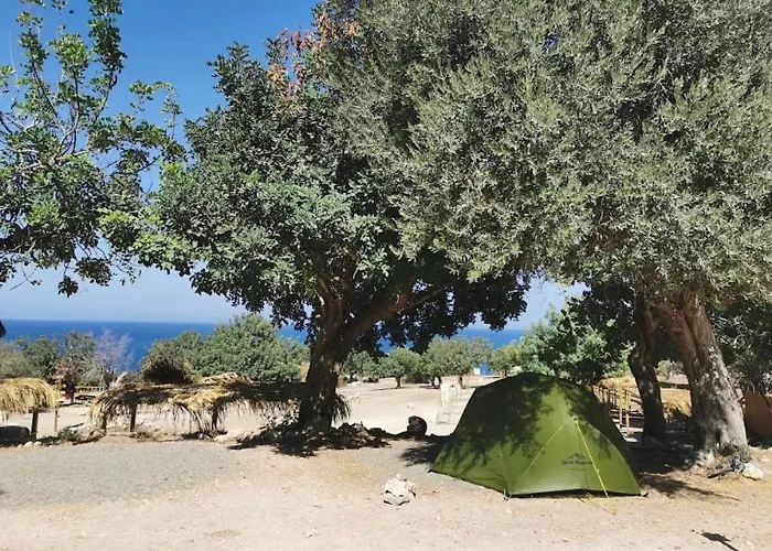 Aphrodite Family Eco Camping *